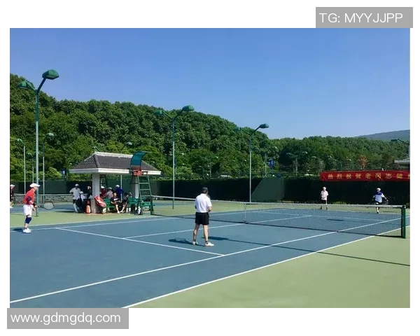 南京网球队实力对比深度解析各队优势与短板全面解读 南京网球队实力对比深度解析各队优势与短板全面解读