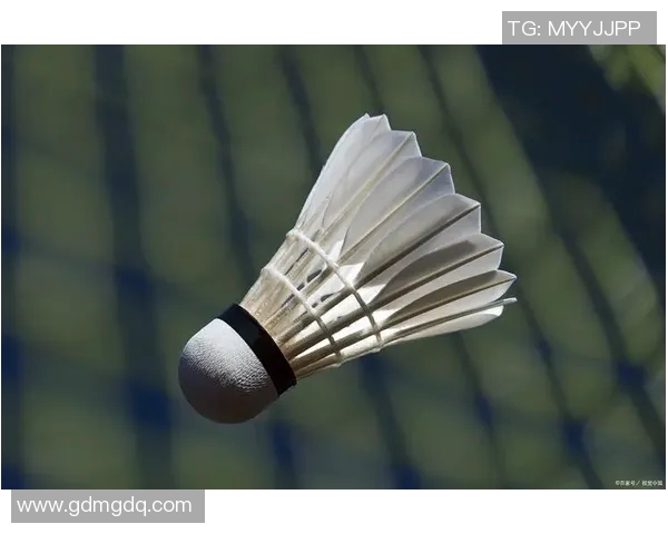 从零起步掌握羽毛球技巧与状态提升全攻略分享