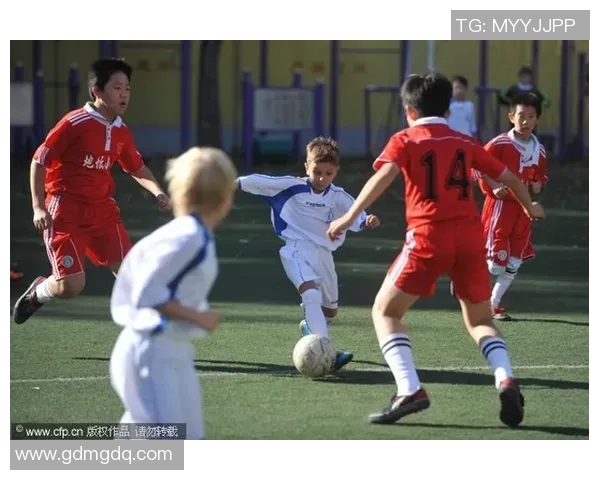 北京排球队在世锦赛中的实力展现与未来发展潜力分析 北京排球队在世锦赛中的实力展现与未来发展潜力分析