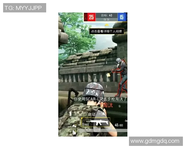 和平精英战术分析:FPX团队速度与策略的深度探讨 和平精英战术分析:FPX团队速度与策略的深度探讨