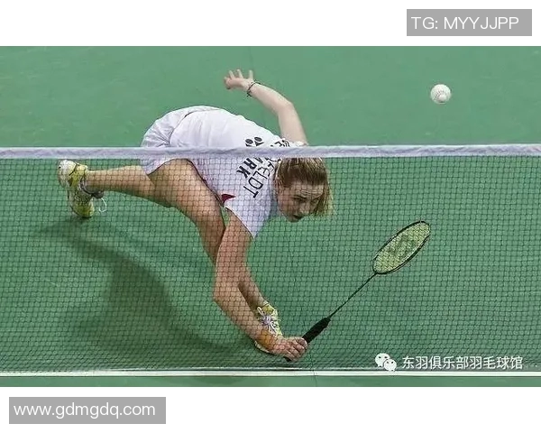 南京羽毛球队实力对比深度解析与未来发展展望