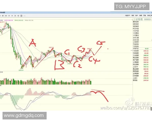 广州排球队防守策略解析与战术应用探讨
