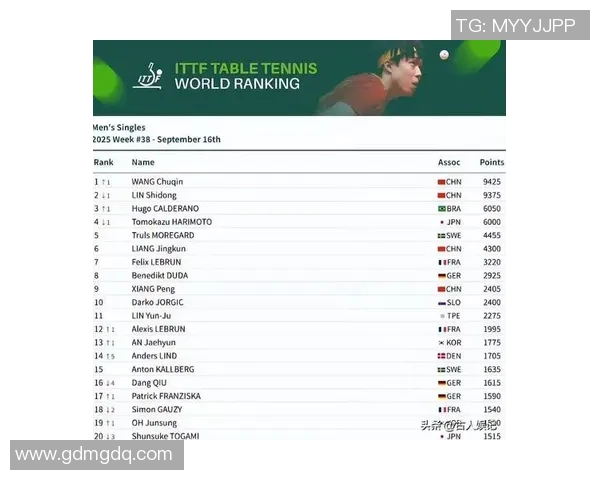 权威发布乒乓球比赛经验实力榜单揭晓各国选手表现与潜力分析