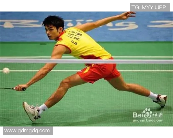 深圳羽毛球队整体压制打法深度分析与战术解读 深圳羽毛球队整体压制打法深度分析与战术解读