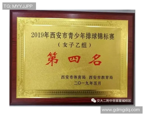 深圳排球队与西安排球队实力对比赛后分析与总结