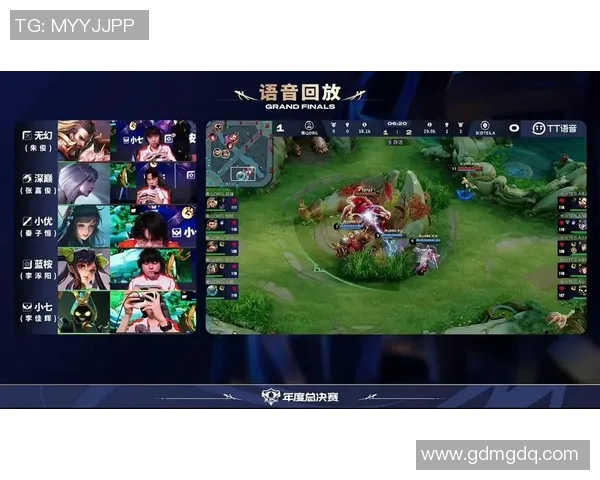 王者荣耀热议TES战队配合问题引发玩家广泛讨论与反思