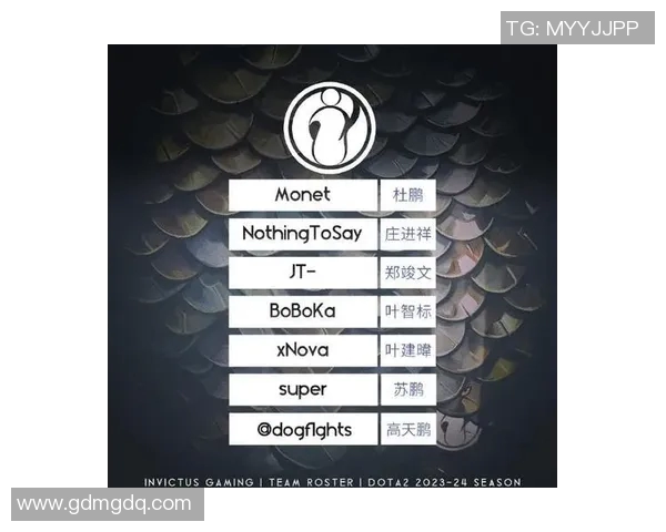 DOTA2精彩解析：深入IG战队的默契配合与战术策略探讨