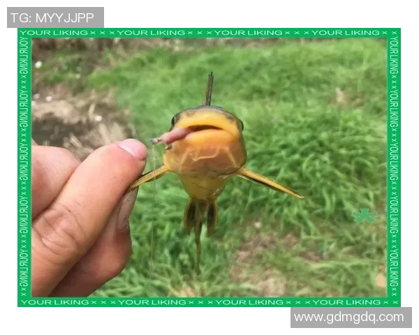 从零起步掌握英雄联盟比赛技巧与策略全方位指南 从零起步掌握英雄联盟比赛技巧与策略全方位指南