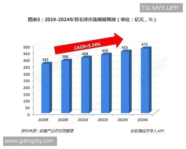 南京乒乓球队个人能力表现的数据分析与提升策略探讨