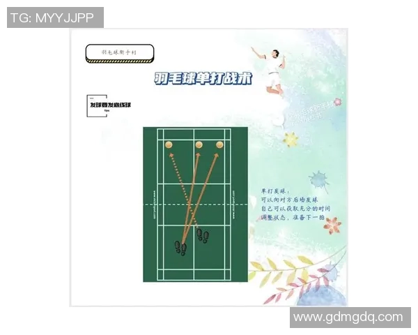 西安羽毛球队总决赛战术分析与表现评估探讨