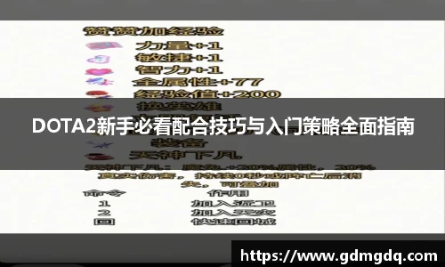 DOTA2新手必看配合技巧与入门策略全面指南