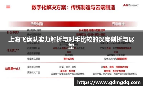 上海飞盘队实力解析与对手比较的深度剖析与展望