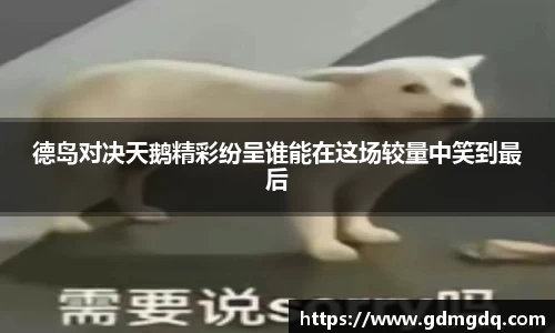 德岛对决天鹅精彩纷呈谁能在这场较量中笑到最后