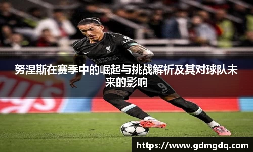 努涅斯在赛季中的崛起与挑战解析及其对球队未来的影响